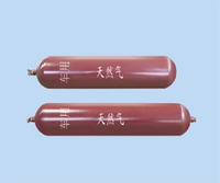 NGV Type 1 Cylinder